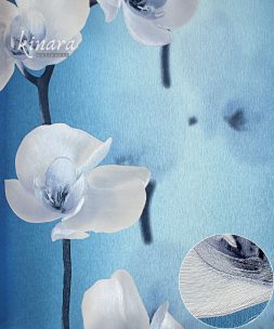 Wallpaper Bunga Sakura Biru Cantik E0150