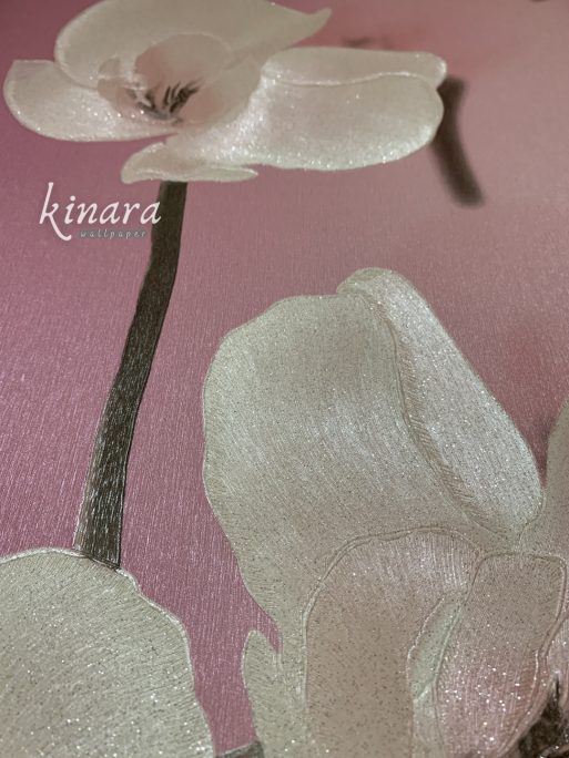 Wallpaper Bunga Sakura Pink Cantik E0151