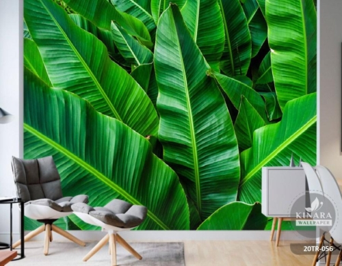 wallpaper-custom-mural-tropical-50